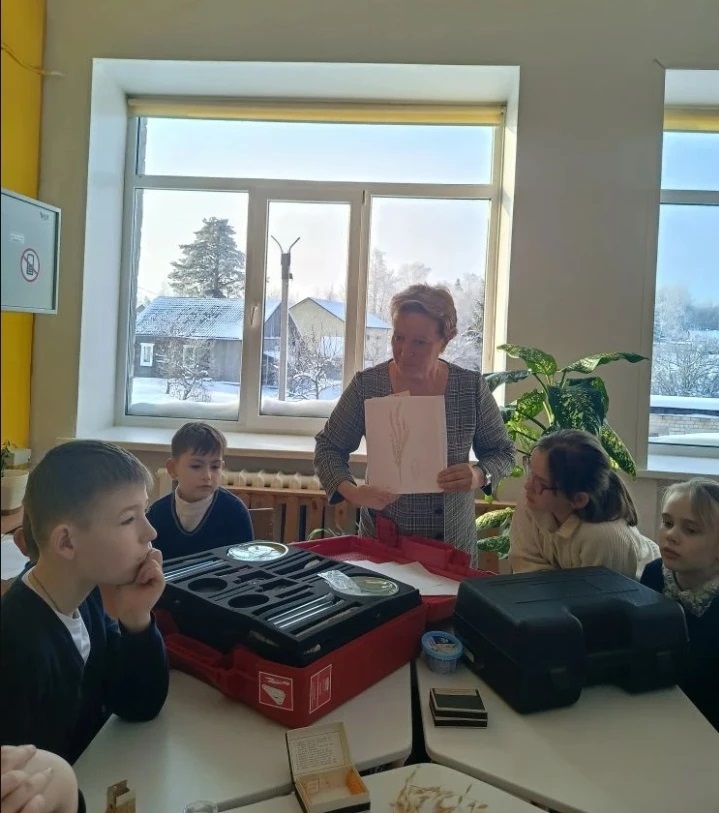 День науки